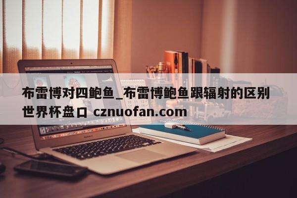 布雷博对四鲍鱼_布雷博鲍鱼跟辐射的区别 世界杯盘口 cznuofan.com