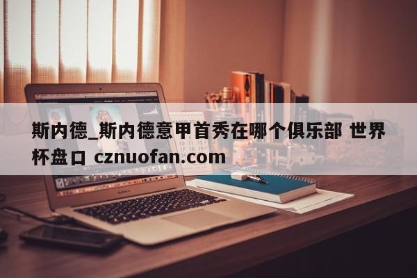 斯内德_斯内德意甲首秀在哪个俱乐部 世界杯盘口 cznuofan.com